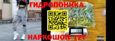 мдпв Пушкино